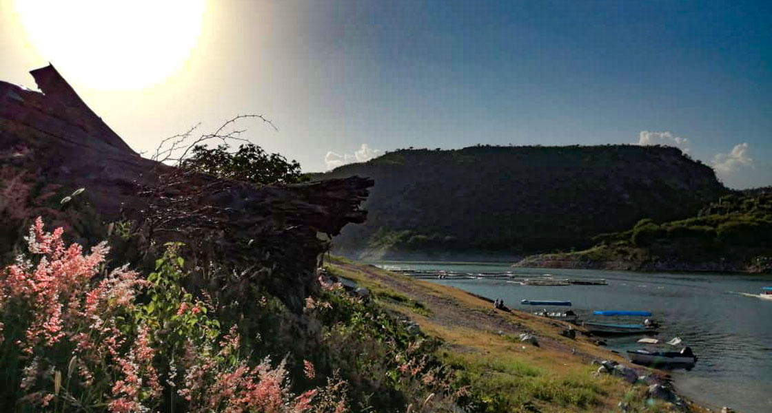 Restaurante Las Adjuntas Tecozautla 08
