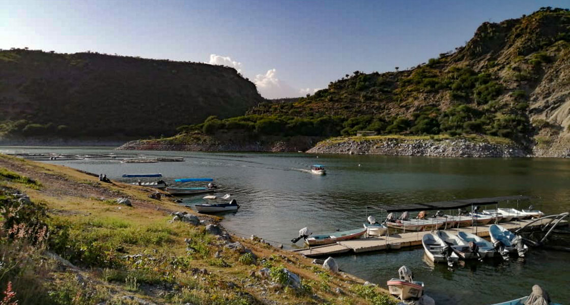 Restaurante Las Adjuntas Tecozautla 09